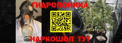 прущие крисы Абинск